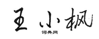 骆恒光王小枫行书个性签名怎么写