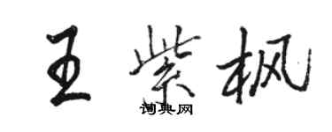 骆恒光王紫枫行书个性签名怎么写