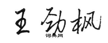骆恒光王劲枫行书个性签名怎么写