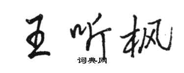 骆恒光王听枫行书个性签名怎么写