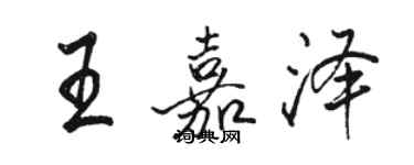 骆恒光王嘉泽行书个性签名怎么写