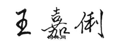 骆恒光王嘉俐行书个性签名怎么写