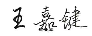 骆恒光王嘉键行书个性签名怎么写