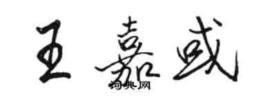 骆恒光王嘉或行书个性签名怎么写