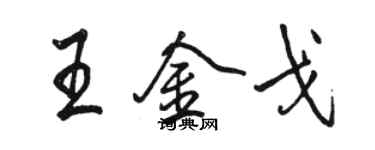 骆恒光王金戈行书个性签名怎么写
