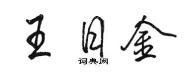骆恒光王日金行书个性签名怎么写