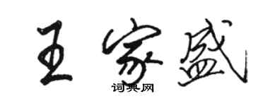 骆恒光王家盛行书个性签名怎么写