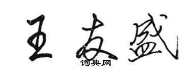 骆恒光王友盛行书个性签名怎么写