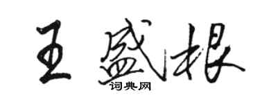 骆恒光王盛根行书个性签名怎么写