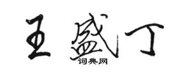 骆恒光王盛丁行书个性签名怎么写