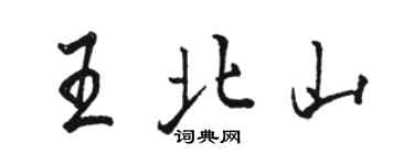 骆恒光王北山行书个性签名怎么写