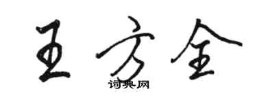 骆恒光王方全行书个性签名怎么写