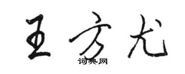 骆恒光王方尤行书个性签名怎么写