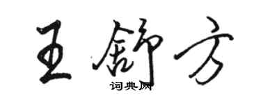 骆恒光王舒方行书个性签名怎么写