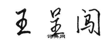 骆恒光王呈闯行书个性签名怎么写