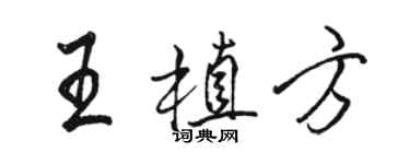 骆恒光王植方行书个性签名怎么写