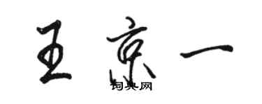 骆恒光王京一行书个性签名怎么写