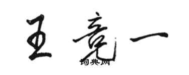 骆恒光王竞一行书个性签名怎么写