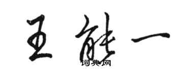 骆恒光王能一行书个性签名怎么写