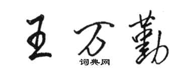 骆恒光王万勤行书个性签名怎么写