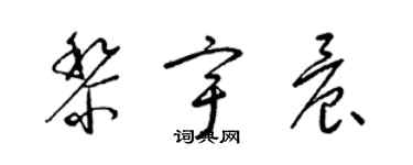 梁锦英黎宇晨草书个性签名怎么写