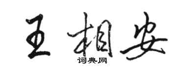 骆恒光王相安行书个性签名怎么写