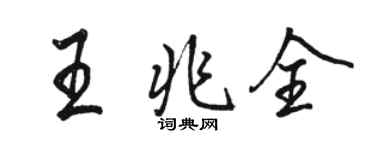 骆恒光王兆全行书个性签名怎么写