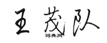 骆恒光王茂队行书个性签名怎么写