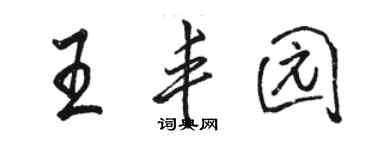 骆恒光王丰园行书个性签名怎么写