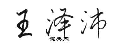 骆恒光王泽沛行书个性签名怎么写