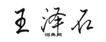 骆恒光王泽石行书个性签名怎么写