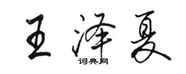 骆恒光王泽夏行书个性签名怎么写