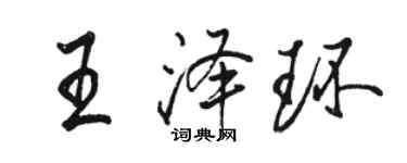 骆恒光王泽环行书个性签名怎么写