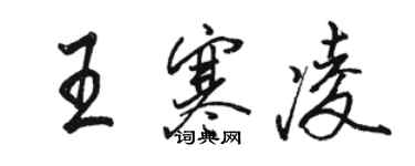骆恒光王寒凌行书个性签名怎么写