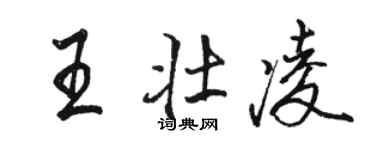 骆恒光王壮凌行书个性签名怎么写
