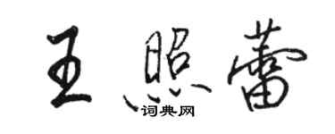 骆恒光王照蕾行书个性签名怎么写