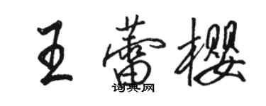 骆恒光王蕾樱行书个性签名怎么写