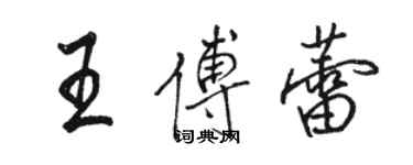 骆恒光王傅蕾行书个性签名怎么写