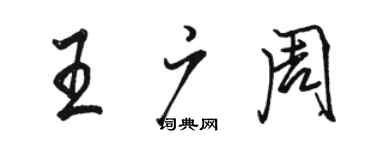 骆恒光王广周行书个性签名怎么写