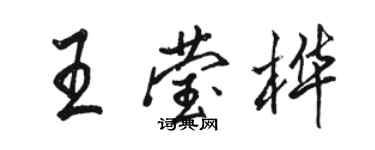 骆恒光王莹桦行书个性签名怎么写