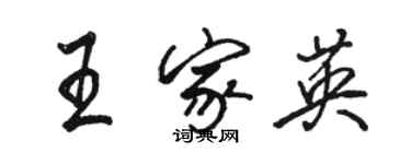 骆恒光王家英行书个性签名怎么写