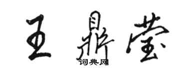 骆恒光王鼎莹行书个性签名怎么写