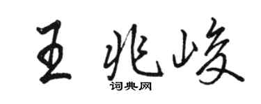 骆恒光王兆峻行书个性签名怎么写