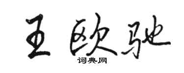 骆恒光王欧驰行书个性签名怎么写