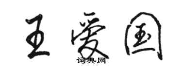 骆恒光王爱国行书个性签名怎么写