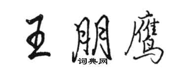 骆恒光王朋鹰行书个性签名怎么写