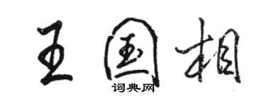 骆恒光王国相行书个性签名怎么写