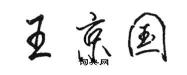 骆恒光王京国行书个性签名怎么写