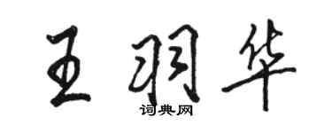 骆恒光王羽华行书个性签名怎么写