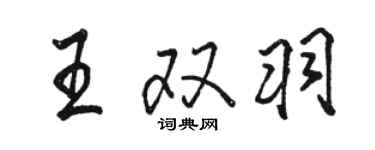 骆恒光王双羽行书个性签名怎么写